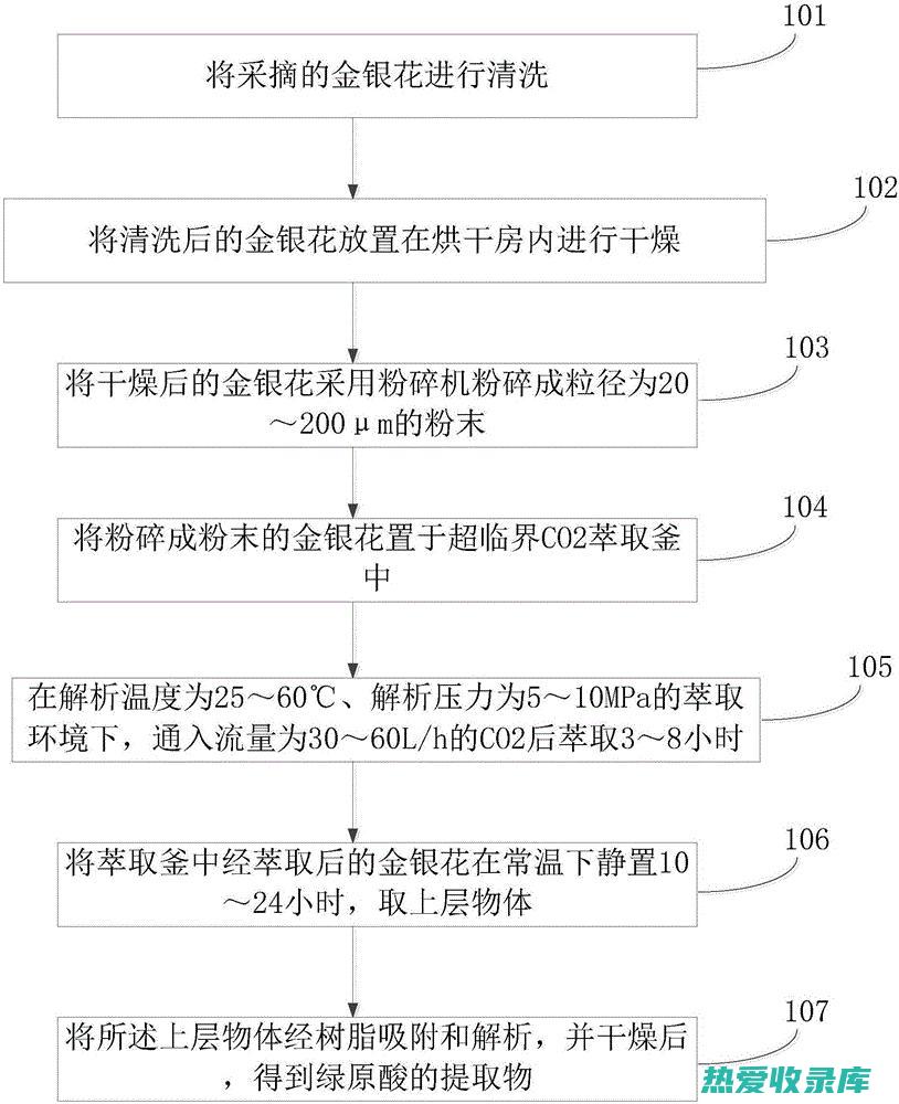 中药领域的绿巨人：探索根茎类药材的功效和应用 (中药领域的绿茶有哪些)