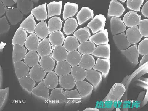 纤维：1.8 克(纤维蛋白原偏高是什么意思)