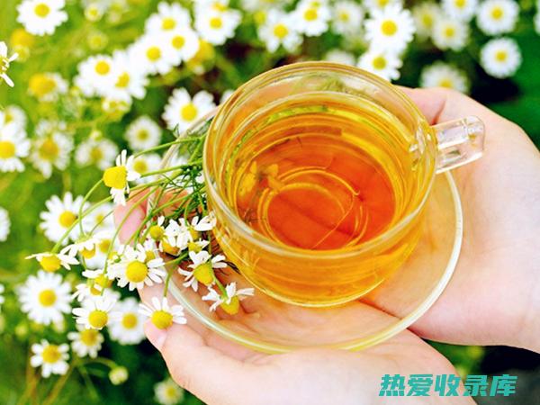 菊花中药功效详解：消炎解毒、清热降火、明目护肝 (菊花中药功效与作用)