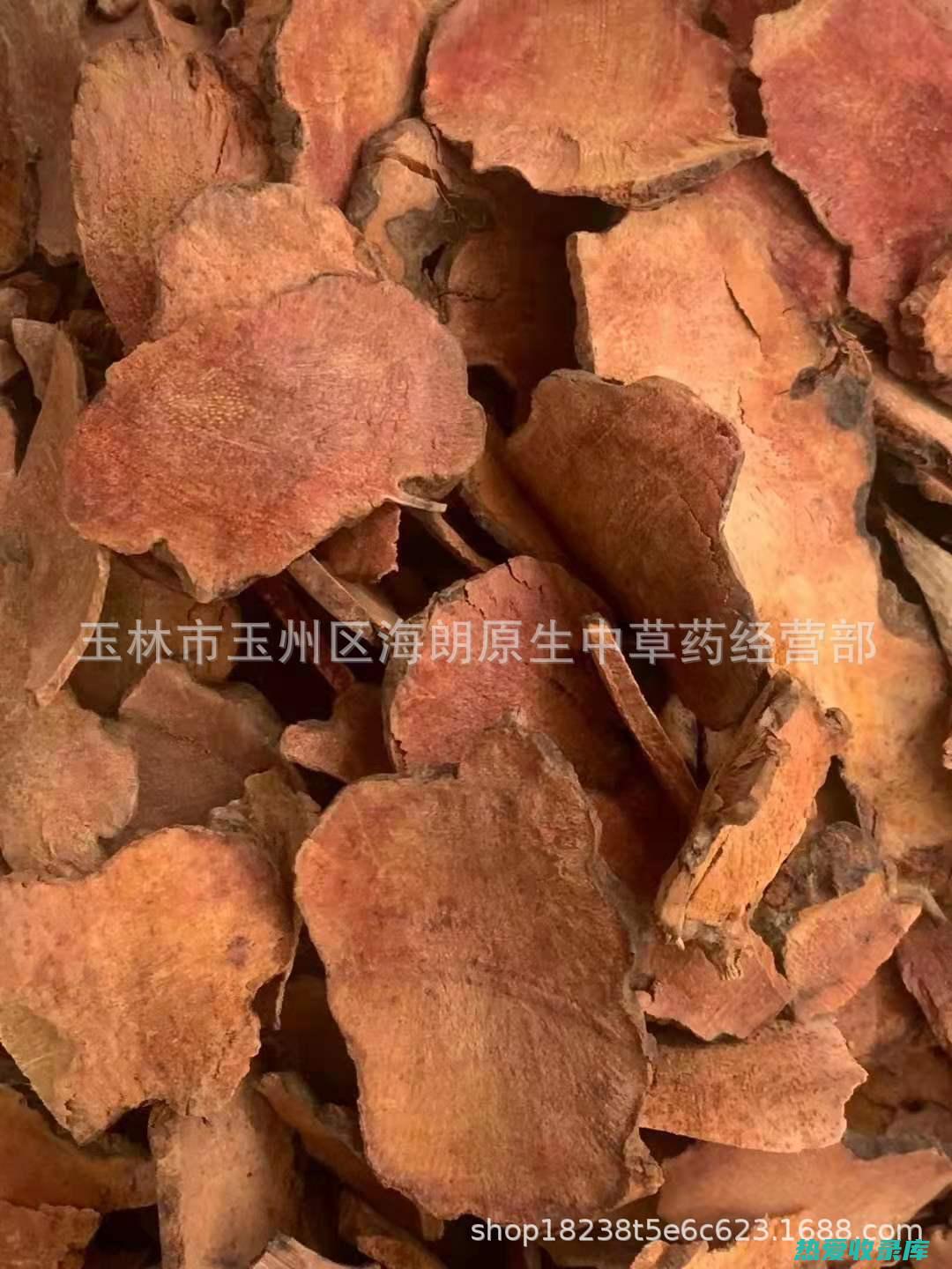 红土茯苓：功效与作用 (红土茯苓功效好还是白色茯苓好泥?)