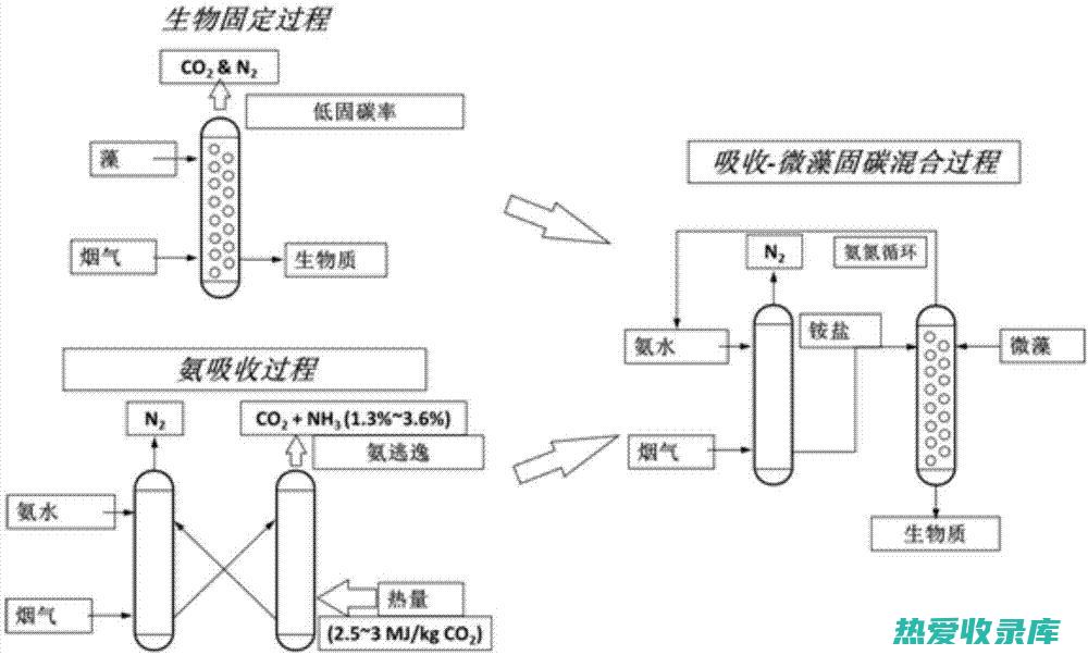 吸收二氧化碳：侧柏树能有效吸收空气中的二氧化碳，维持室内的空气新鲜度。 (吸收二氧化碳的化学方程式)