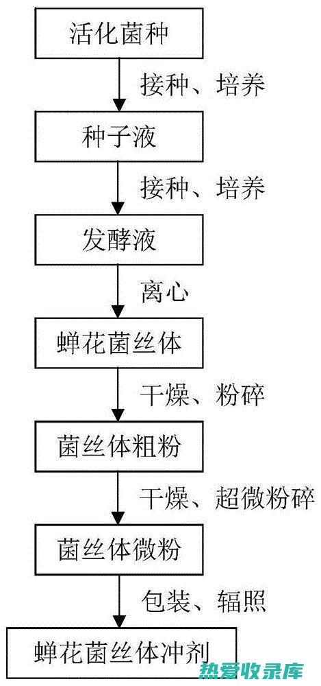 蝉花：一种珍贵的传统中药 (蝉花有什么功效和作用)