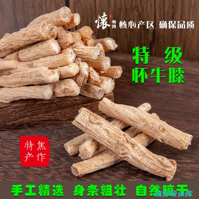 牛膝片中药功效及健康益处 (牛膝片中药功效)