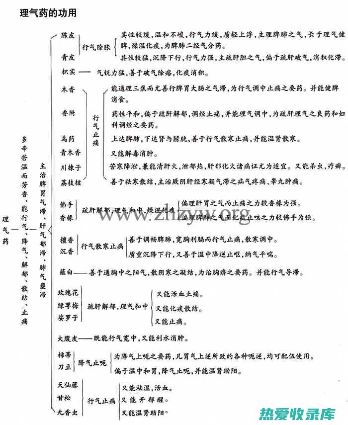 理气中药功效：疏肝解鬱、理氣化痰、健脾和胃 (理气中药功效和作用)