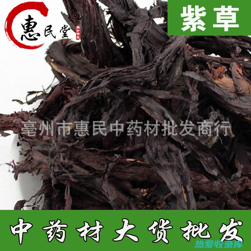 紫草：清热凉血、消肿止痛，适用于急性荨麻疹。(紫草是什么中药有什么作用)