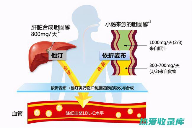 降低胆固醇：葛根中的一种化合物已被证明可以降低胆固醇水平。(降低胆固醇最好的食物)