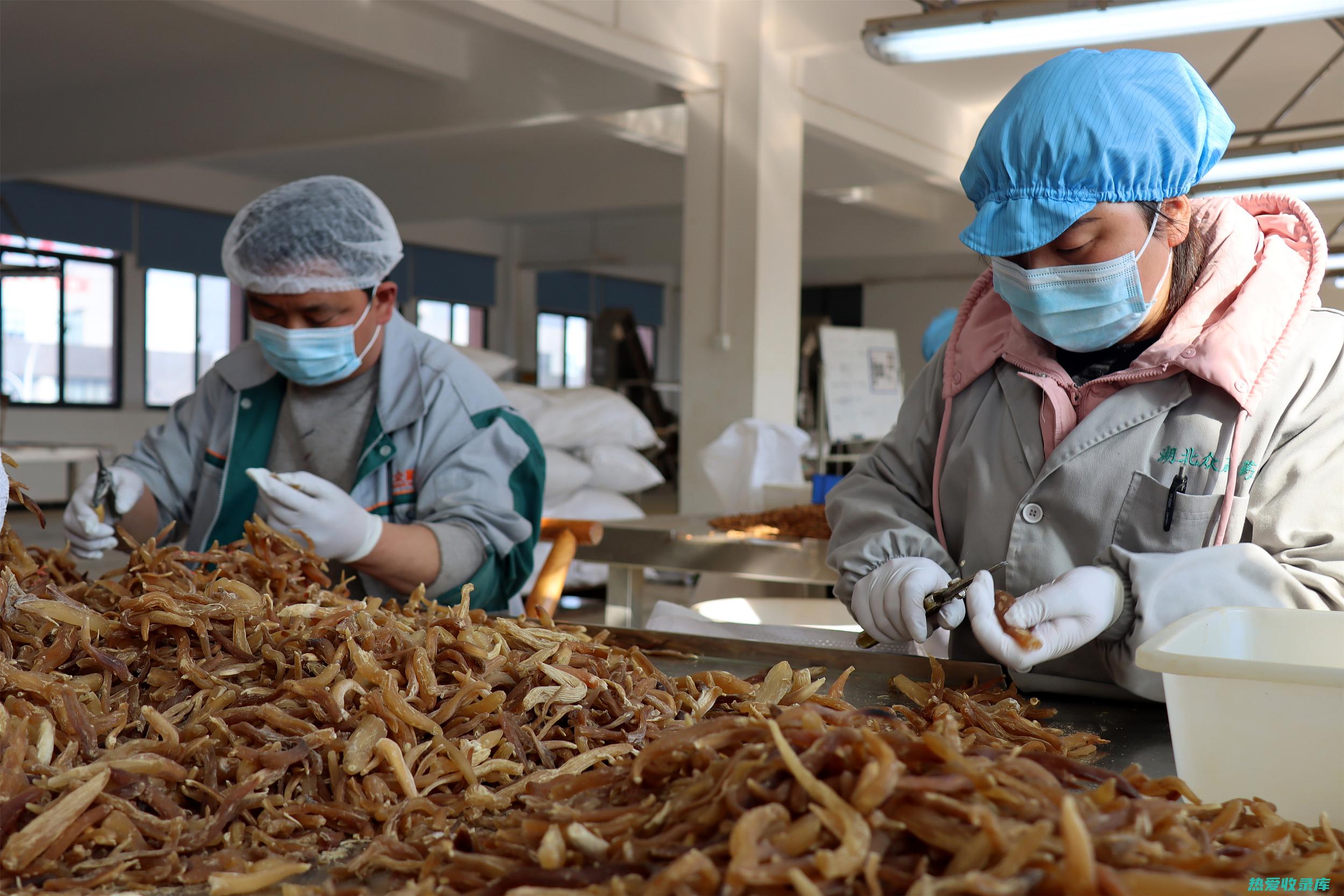 中药药材价格查询：最新中药材收购行情一览表 (中药药材价格一览表)