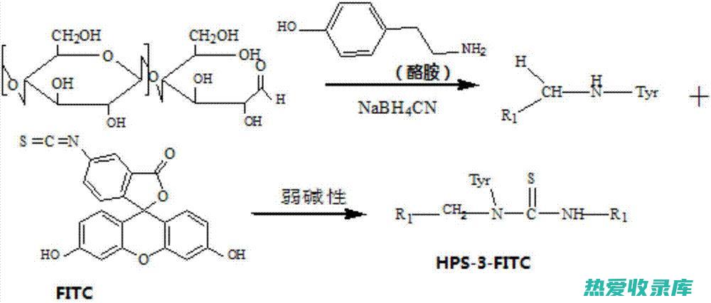 多糖：多糖是土蚕草中发现的一类多糖，具有抗癌、抗氧化和免疫调节特性。(啥叫多糖,多糖是啥)