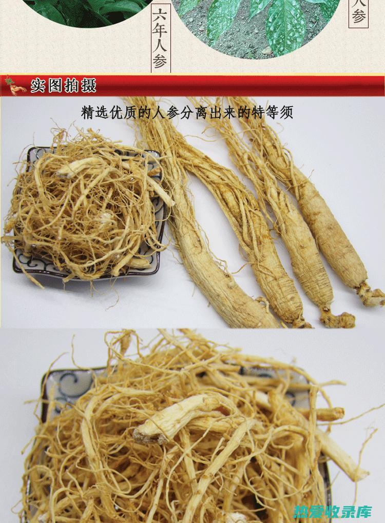 参须的功效与作用及食用方法 (参须的功效与作用和主治)