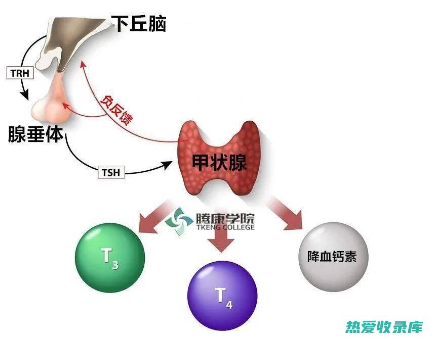 调节内分泌：补肾安神丸中的药材还具有调节内分泌的作用，有助于缓解因内分泌失调导致的焦虑、疲劳等症状。(调节内分泌失调的药物有哪些)