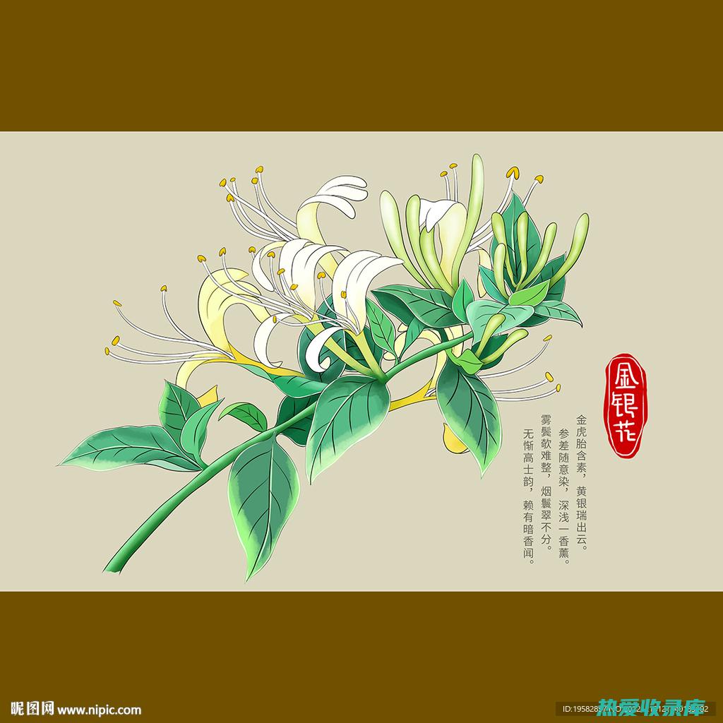 金银花 20克(金银花20克是多少)