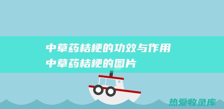 中草药桔梗的功效与作用中草药桔梗的图片