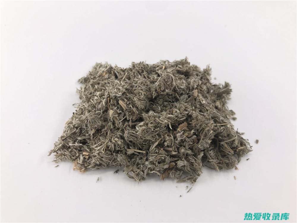 茵陈：一种用途广泛的中草药 (茵陈的药用是什么)