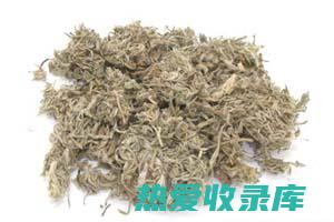 茵陈可以刺激胆汁分泌