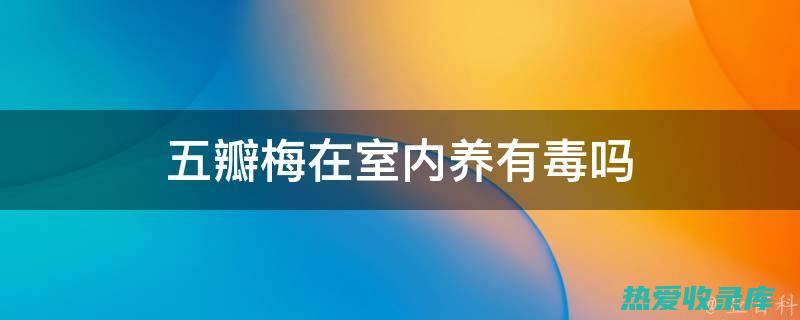 沁肺解毒：梅花具有清热解毒、润肺止咳的功效，可用于治疗咳嗽、气喘等肺部疾患。