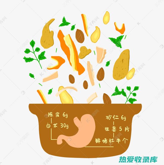 健脾养胃 (健脾养胃吃什么食物最好)