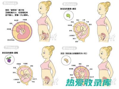 可能会影响胎儿的神经系统发育