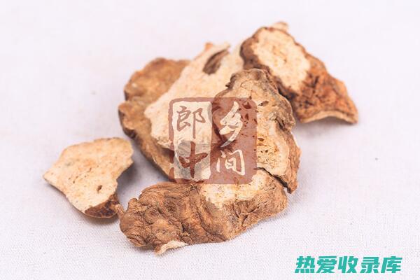 白术根：用于脾虚腹泻、呕吐酸水、食欲不振等症。(白术根的功效)