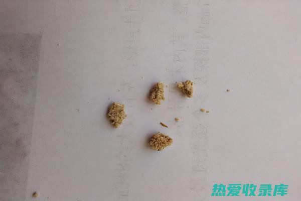 对石伏过敏的人：有些人可能会对石伏过敏，因此使用前进行皮肤贴片测试非常重要。(石韦过敏)