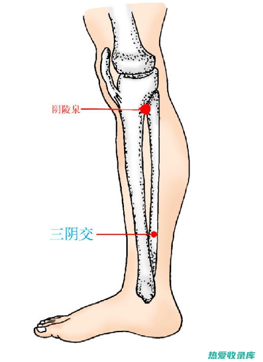 调经止痛：醋延胡索能调节女性月经，缓解痛经、闭经等症，适用于气血瘀滞引起的妇科疾病。(醋 月经)