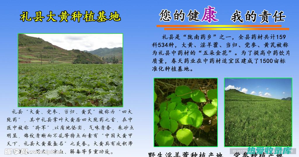 中药种植基地：探索传统医学的来源 (河北省中药种植基地)