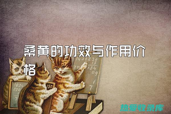 消肿止痛：桑叶枝还具有消肿止痛的功效，可以用于治疗跌打损伤、肿痛等症。(桑叶消肿吗)