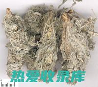 栀子茵陈：功效、作用及相关知识 (栀子与茵陈的功效区别)