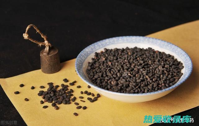 治疗失眠：茯毛安神益智，常用于治疗心神不宁、失眠、多梦等症。可单用茯毛，或与其他安神益智药配伍使用，如酸枣仁、百合、莲子等。(治疗失眠茯神好还是茯苓好)