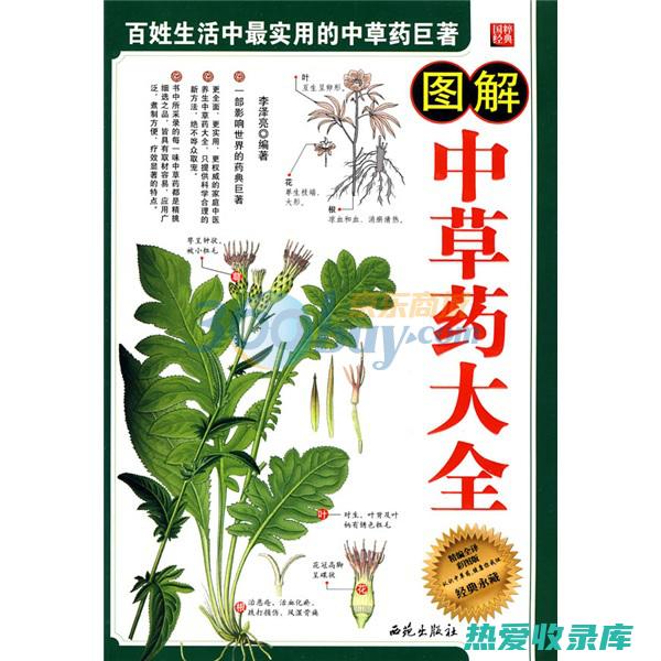 中药百科全书：探寻中国传统医药的广袤宝库 (中药百科全书神农本草经)