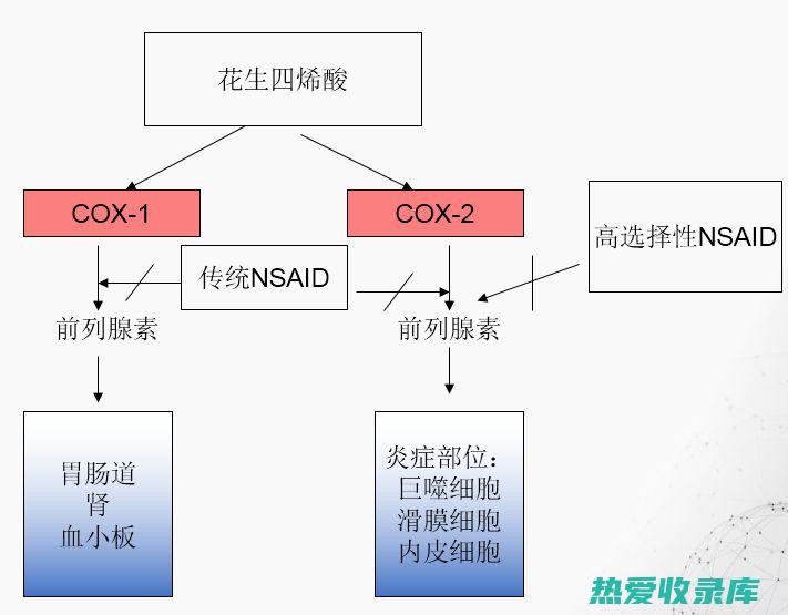 抗炎止痛：神曲中的抗菌消炎成分能够抑制 (抗炎止痛的药膏有哪些)