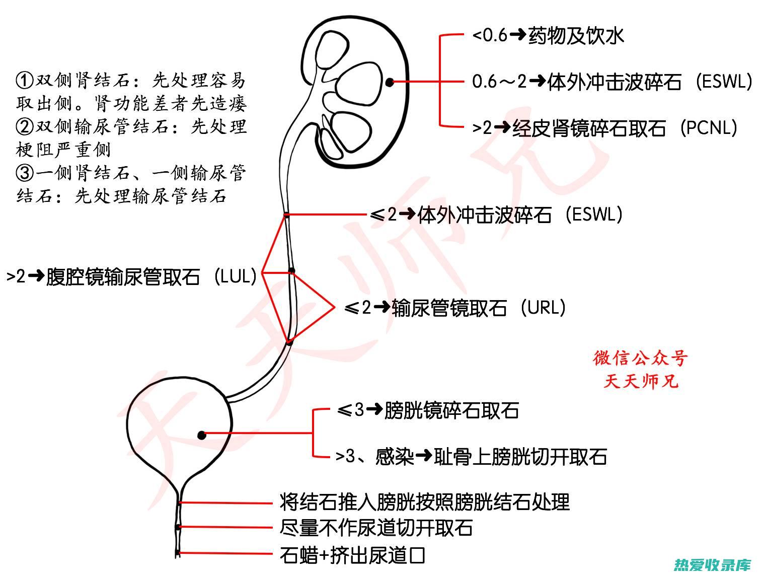 尿路问题(尿路问题怎么检查)