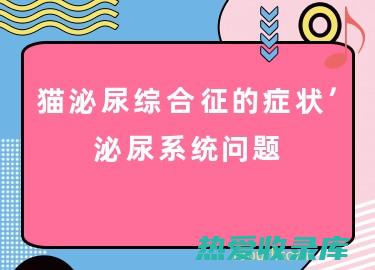 泌尿系统问题：萋萋菜利尿，可以帮助排出尿液，缓解膀胱感染和尿道感染。(泌尿系统问题有哪些)