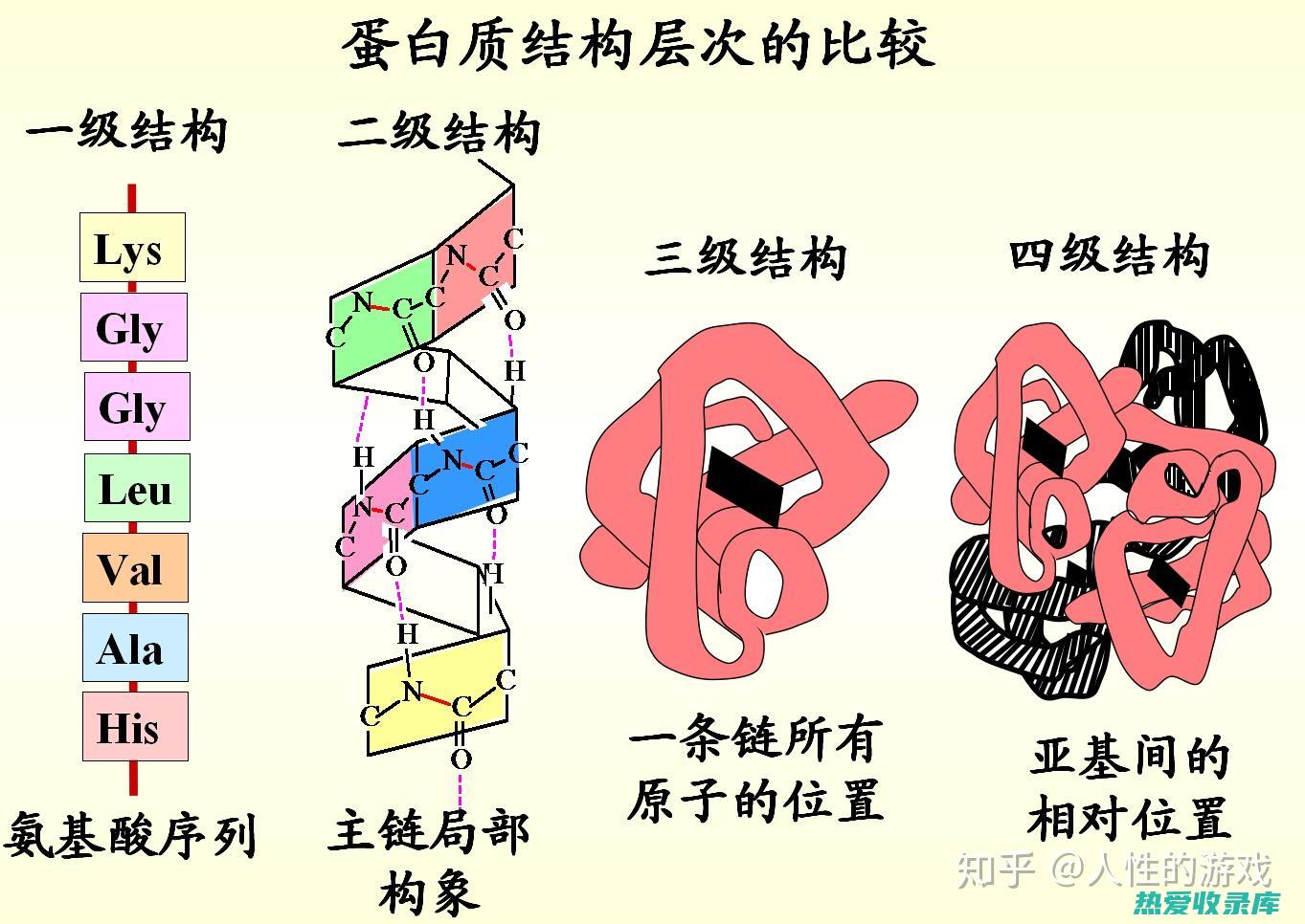 蛋白质：每 100 克瓜子金约含 20 克蛋白质，使其成为植物性蛋白质的良好来源。(蛋白质每100克为21.5是什么意思)