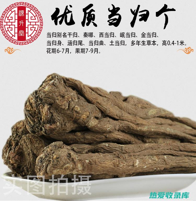 当归身 10g(当归身100茯苓50)