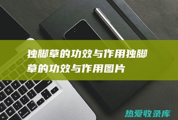 独脚草的功效与作用 (独脚草的功效与作用图片)