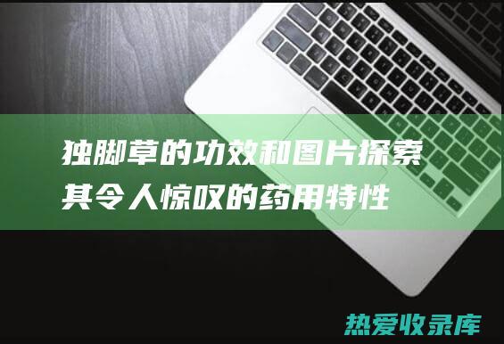 独脚草的功效和图片：探索其令人惊叹的药用特性 (独脚草的功效与作用)