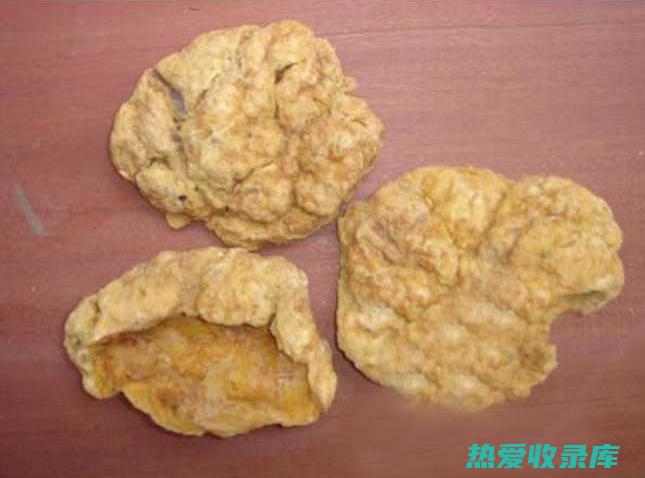 紫河车功效与作用：归经与疗效 (紫河车功效与作用是什么)