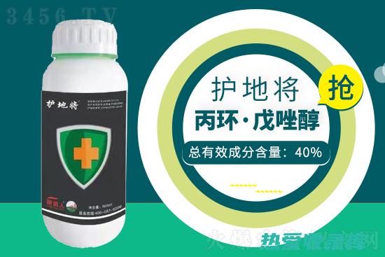 抗炎：叶叶苗中的皂苷具有抗炎作用，可抑制炎症反应，缓解疼痛和肿胀。(叶叶苗的药用价值)