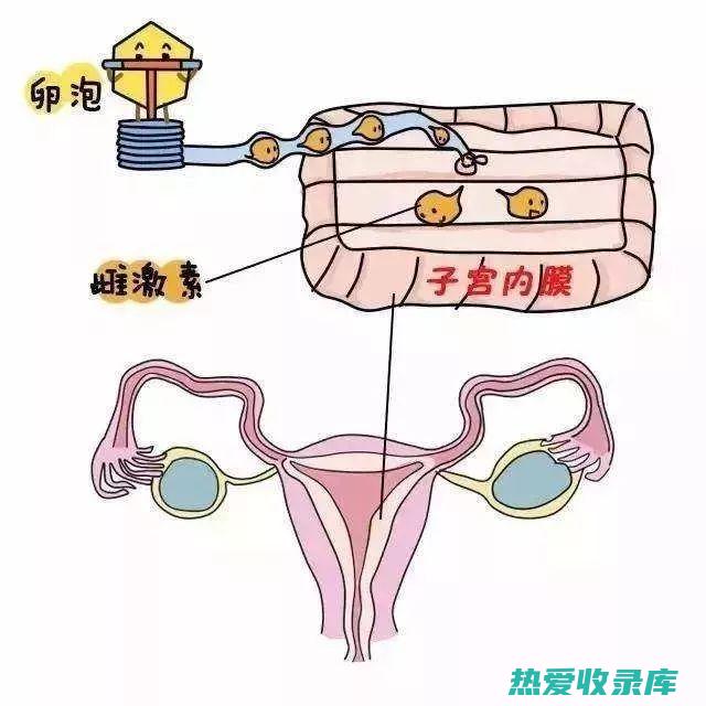 激素治疗对身体有哪些伤害