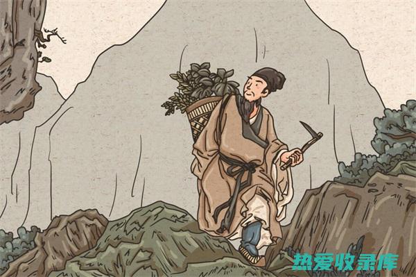 查看药材的采收时间，确保为当年采收。(查看药材的采购价格)