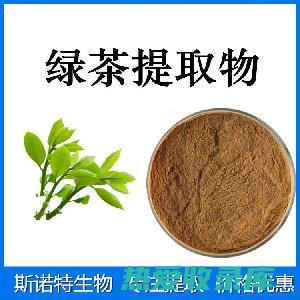 绿茶提取物：抗炎、抗氧化(绿茶提取物功效和作用)