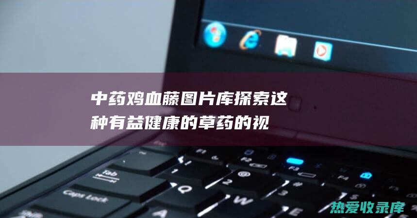 中药鸡血藤图片库：探索这种有益健康的草药的视觉魅力 (中药鸡血藤图片大全大图)