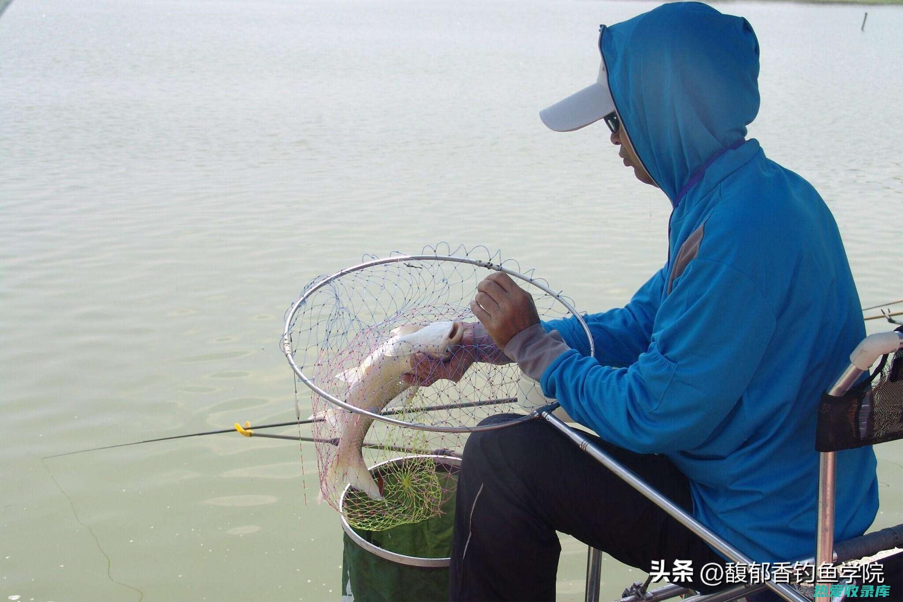 中药盐巴：探索传统医学的天然治疗功效 (中药盐的功效和作用)