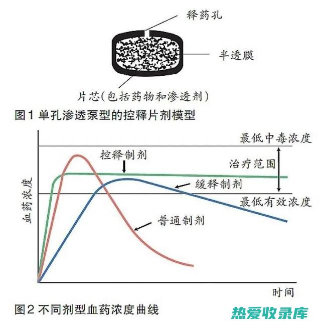 在用药期间