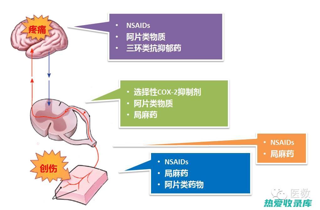 药物对移植肾有影响吗