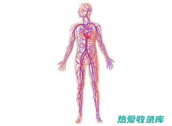 滋养气血，强筋壮骨：调理气虚的中药配方 (滋养气血的中成药)