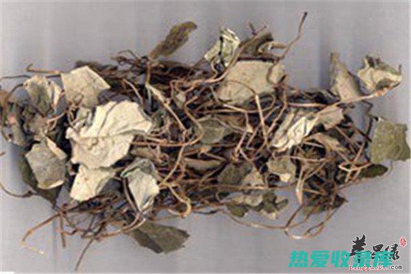 金钱草：药用价值丰富的传统中药材 (金钱草药用)