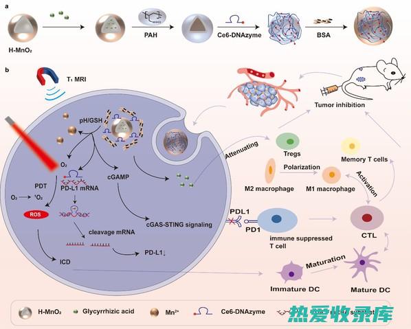 整体性：中药讲究整体性，使用复方或多个药物共同配伍，以达到最佳治疗效果。(中医整体性)