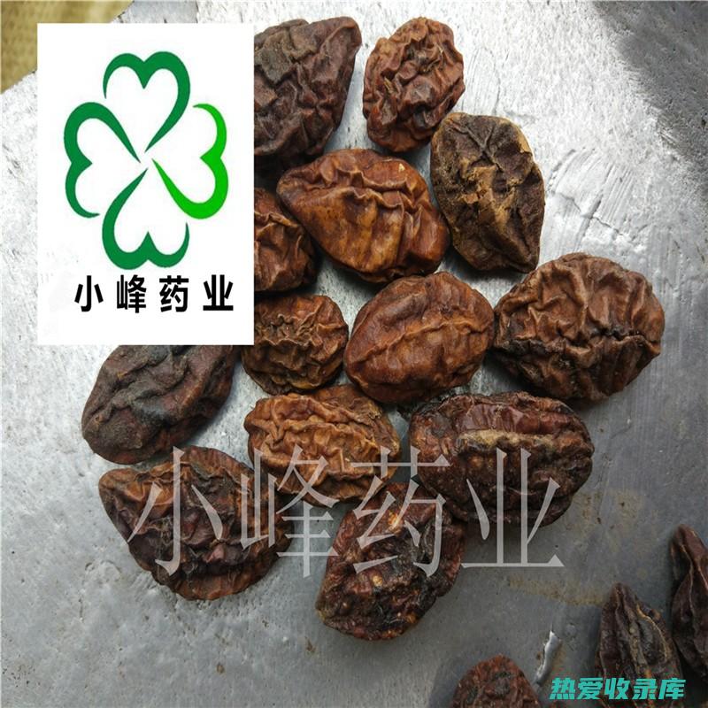 中药柯子的神奇功效与广泛用途 (中药柯子的神奇功效?)