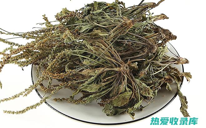 中药草种植：药用植物的栽培和应用 (中药草种植网)